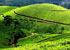 bonjour-holidays-enchanting-hills-munnar