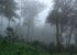 bonjour-holidays-enchanting-hills-thekkady