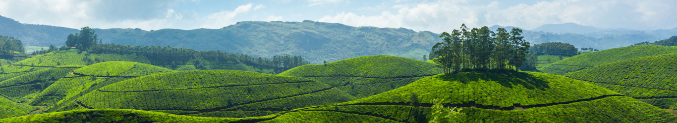 bonjour-holidays-enchanting-kerala