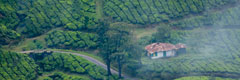 bonjour-holidays-ideal-kerala