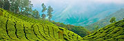 bonjour-holidays-kerala-tour-packages