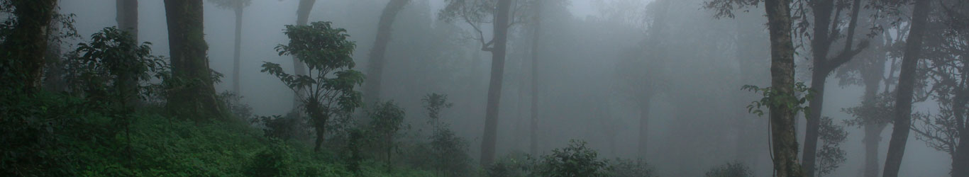 bonjour-holidays-mist-valley